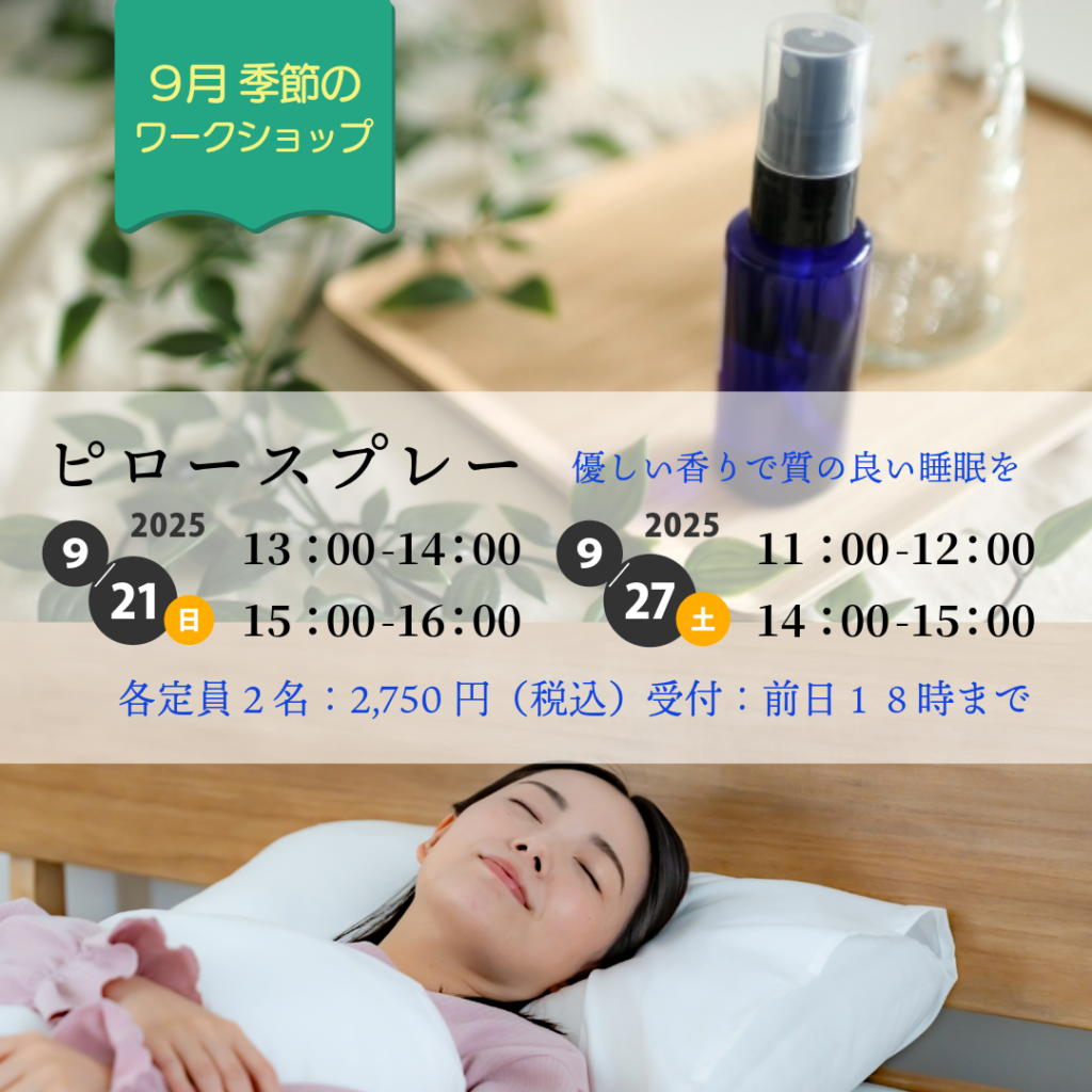 2025年9月のワークショップ