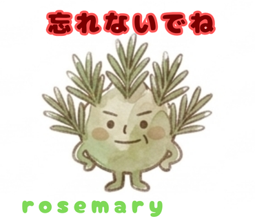 ローズマリー