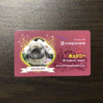 ペット名刺ミュージニー