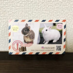 ペット名刺