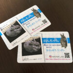 ペット名刺制作実績